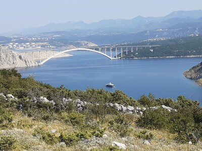Immortelle farm - plantaža smilja
