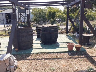 Immortelle farm - plantaža smilja