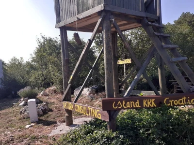 Immortelle farm - plantaža smilja