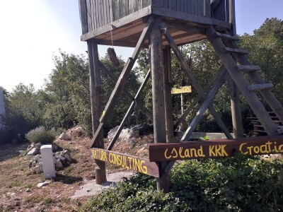 Immortelle farm - plantaža smilja