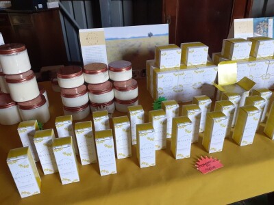 Immortelle farm - plantaža smilja