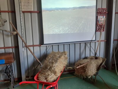 Immortelle farm - plantaža smilja