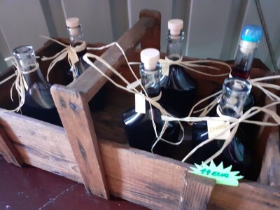 Immortelle farm - plantaža smilja