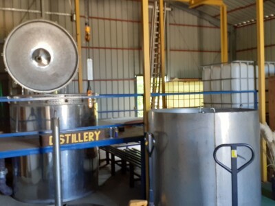 Immortelle farm - plantaža smilja