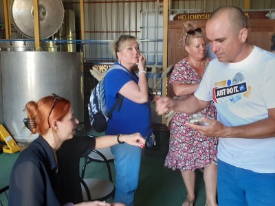 Immortelle farm - plantaža smilja