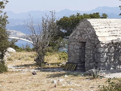 Immortelle farm - plantaža smilja