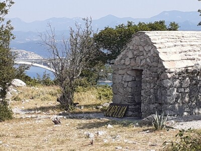 Immortelle farm - plantaža smilja