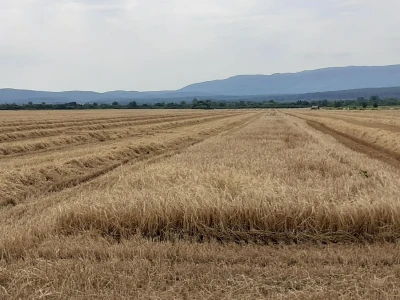 Incijativa za prehrambenu suverenost