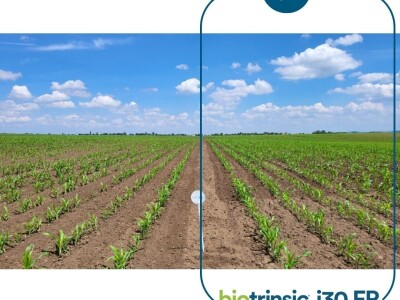 Indigo Biotrinsic i30 FP - biološki tretman sjemena