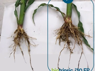 Indigo Biotrinsic i30 FP - biološki tretman sjemena