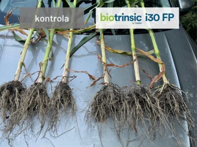 Indigo Biotrinsic i30 FP - biološki tretman sjemena