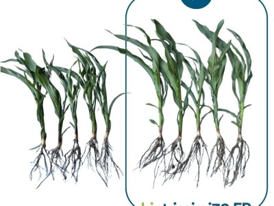 Indigo Biotrinsic i30 FP - biološki tretman sjemena
