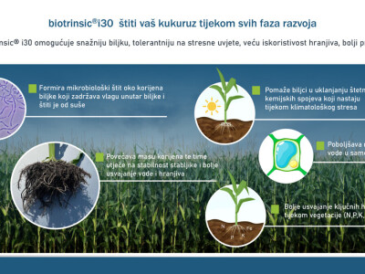 Indigo Biotrinsic i30 FP - biološki tretman sjemena