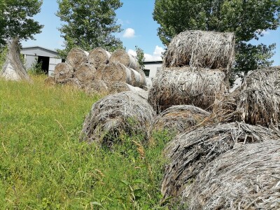 Industrijska konoplja i proizvodi od nje