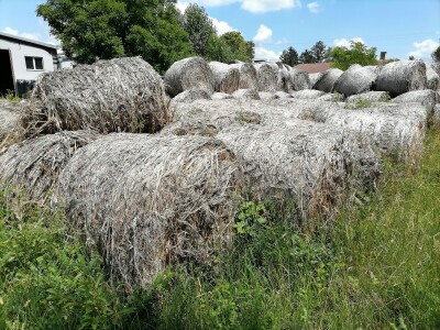 Industrijska konoplja i proizvodi od nje