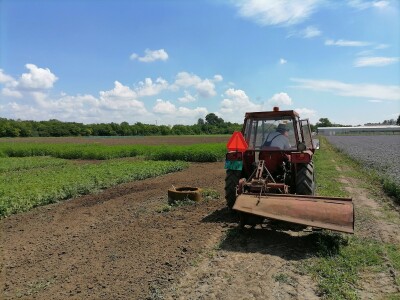 Industrijska konoplja i proizvodi od nje