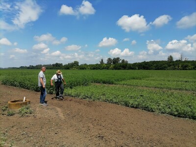 Industrijska konoplja i proizvodi od nje