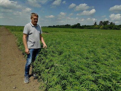 Industrijska konoplja i proizvodi od nje