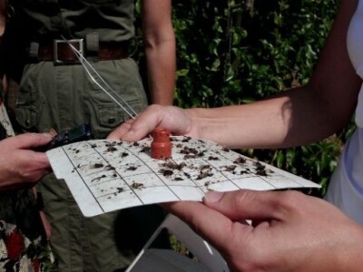 Određivanje jačine infestacije