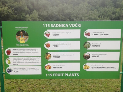 Info tabla Info tabla