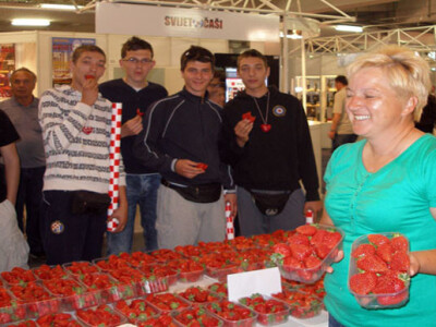 Stigle zagrebačke jagode iz okolice Sesveta