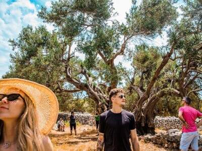 INICIJATIVA DR. IVICE VLATKOVIĆA - Proizvesti ulja od lunjskih maslina za svjetsku pozornicu u New Yorku