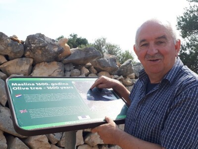 INICIJATIVA DR. IVICE VLATKOVIĆA - Proizvesti ulja od lunjskih maslina za svjetsku pozornicu u New Yorku