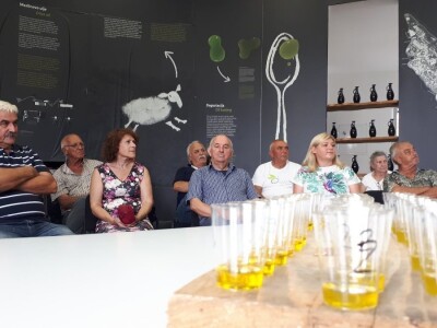 INICIJATIVA DR. IVICE VLATKOVIĆA - Proizvesti ulja od lunjskih maslina za svjetsku pozornicu u New Yorku