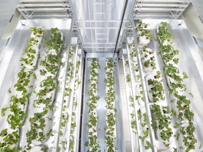 Inovacije na sajmu EIMA