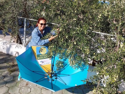 Inovacje u maslinarstvu