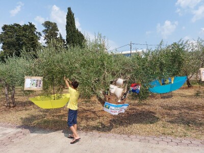 Inovacje u maslinarstvu