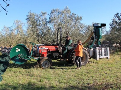 Inovativna berba maslina na OPG-u Chiavalon