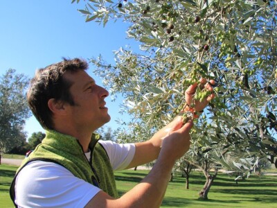 Inovativna berba maslina na OPG-u Chiavalon