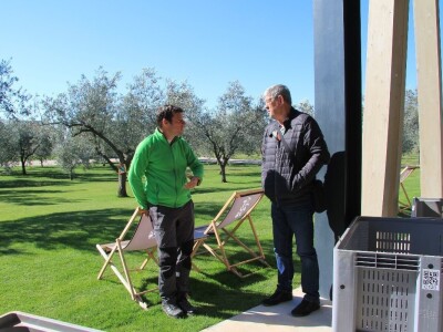 Inovativna berba maslina na OPG-u Chiavalon