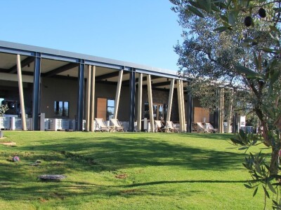 Inovativna berba maslina na OPG-u Chiavalon