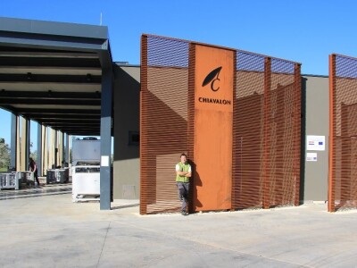 Inovativna berba maslina na OPG-u Chiavalon