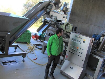 Inovativna berba maslina na OPG-u Chiavalon