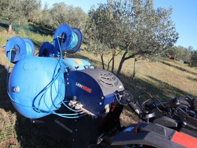 Inovativna berba maslina na OPG-u Chiavalon