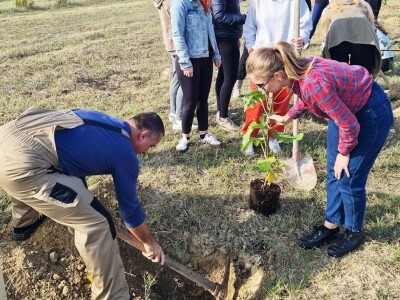 INOVATIVNA DOGAĐANJA NA OPG BUTIĆ - Ravni kotari - Zalog(aj) budućnosti INOVATIVNA DOGAĐANJA NA OPG BUTIĆ - Ravni kotari - Zalog(aj) budućnosti