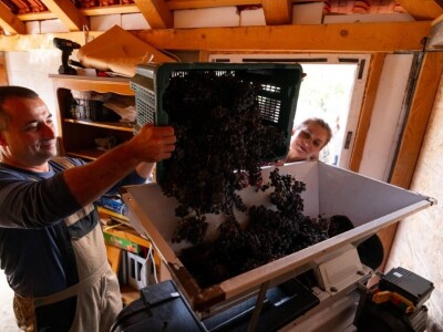 INOVATIVNA DOGAĐANJA NA OPG BUTIĆ - Ravni kotari - Zalog(aj) budućnosti INOVATIVNA DOGAĐANJA NA OPG BUTIĆ - Ravni kotari - Zalog(aj) budućnosti