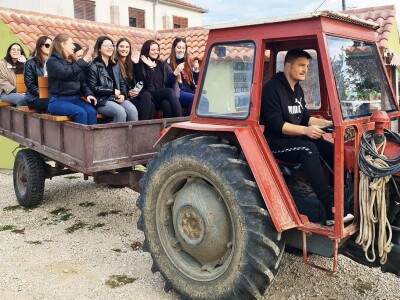 INOVATIVNA DOGAĐANJA NA OPG BUTIĆ - Ravni kotari - Zalog(aj) budućnosti INOVATIVNA DOGAĐANJA NA OPG BUTIĆ - Ravni kotari - Zalog(aj) budućnosti