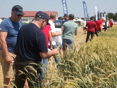 Inovativni program selekcije - pšenica i ječam