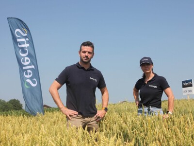 Inovativni program selekcije - pšenica i ječam