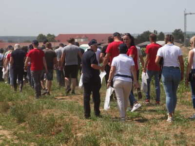 Inovativni program selekcije - pšenica i ječam