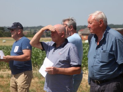 Inovativni program selekcije - pšenica i ječam