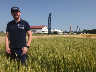 Inovativni program selekcije - pšenica i ječam