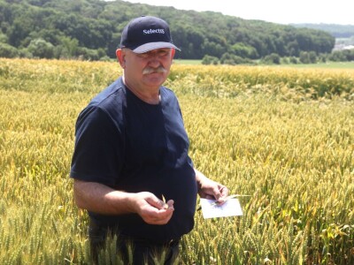 Inovativni program selekcije - pšenica i ječam