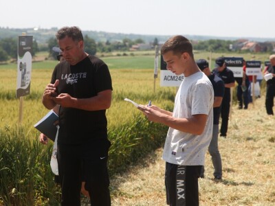 Inovativni program selekcije - pšenica i ječam