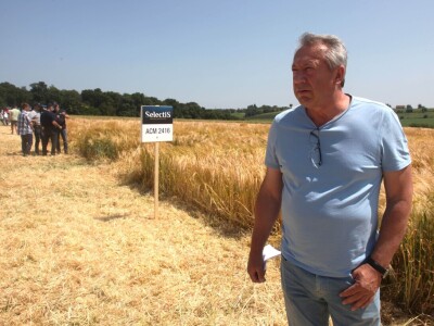 Inovativni program selekcije - pšenica i ječam