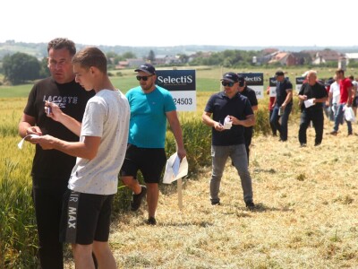 Inovativni program selekcije - pšenica i ječam